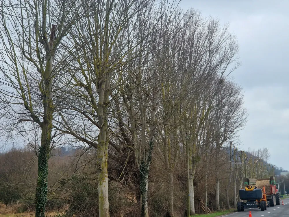 Broyage près de Pont Audemer