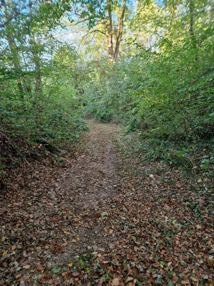 Entretien d'espaces vert près de Epaignes