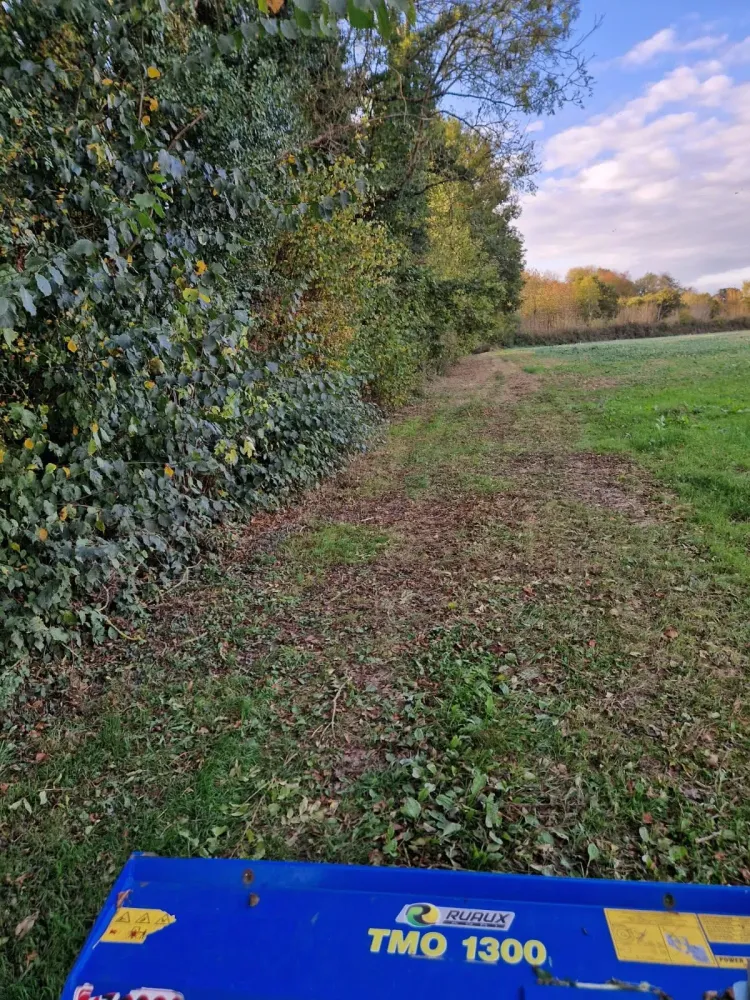 Entretien d'espaces vert près de Honfleur