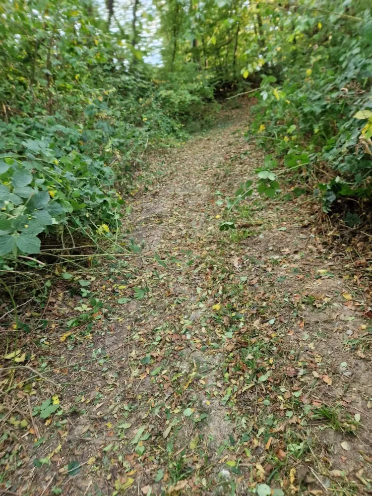 Entretien d'espaces vert près de  Saint Georges du Vievre