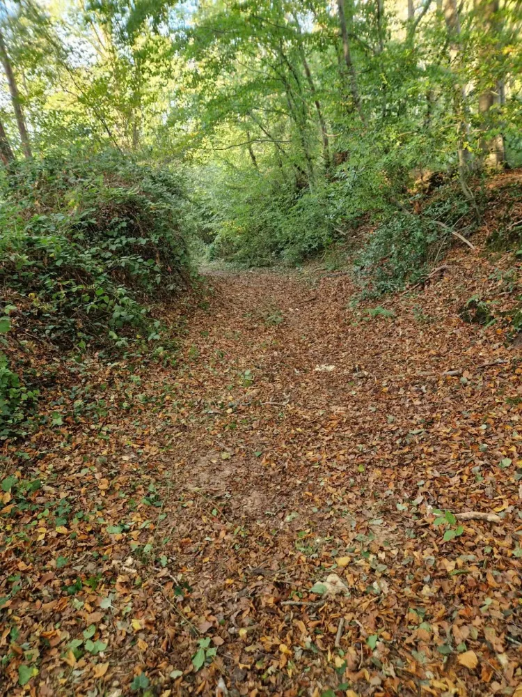 Entretien d'espaces vert près de Lieurey