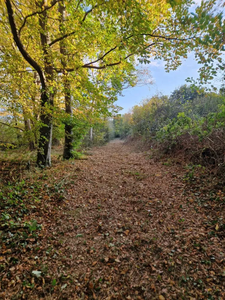 Entretien d'espaces vert près de Lieurey