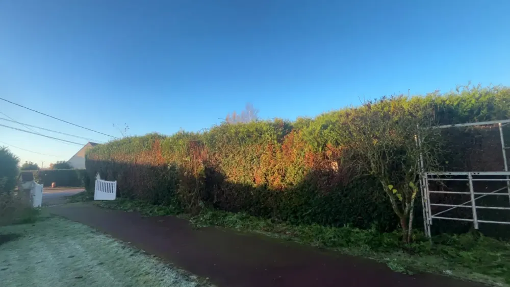 Taille de haie près de Lieurey