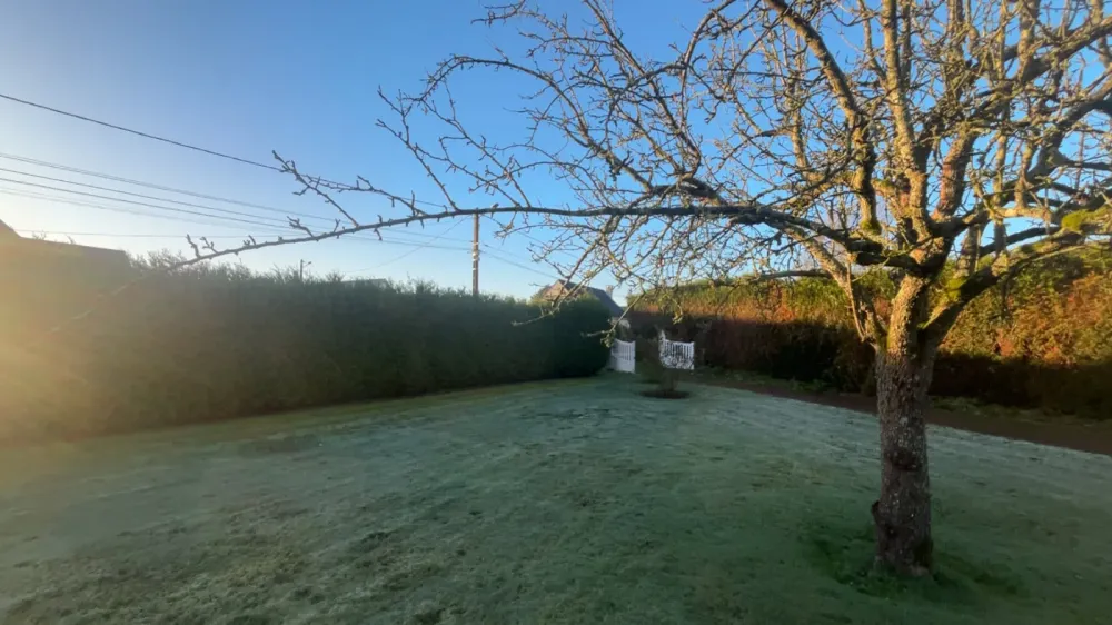 Taille de haie près de Morainville Jouveaux