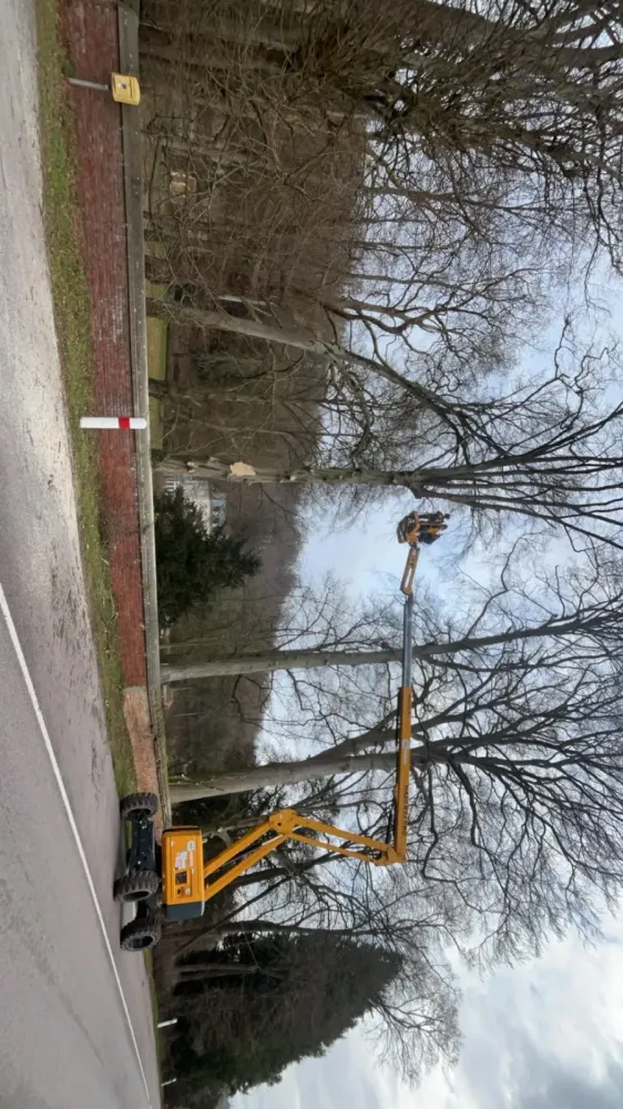 WhatsApp Image 2026-02-04 at 14.07.46 (1)