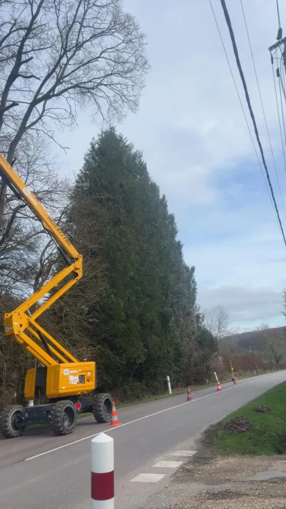 Elagage près de Beuzeville