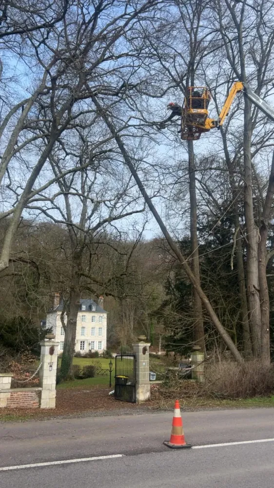 Elagage près de Lieurey