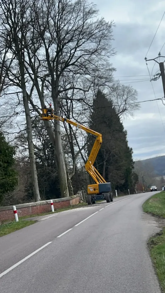 Service d'élagage près de Brionne