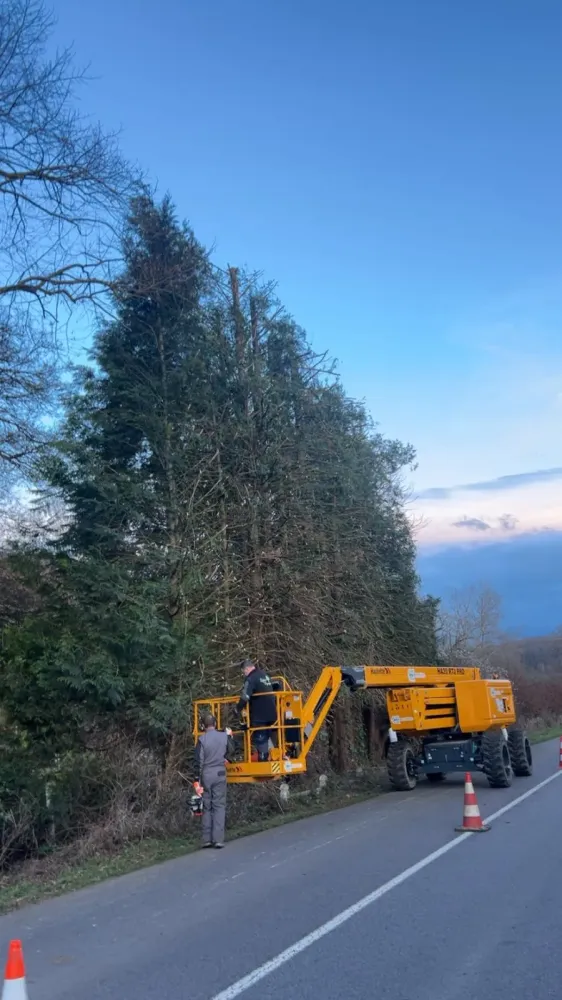 Elagage près de Lieurey