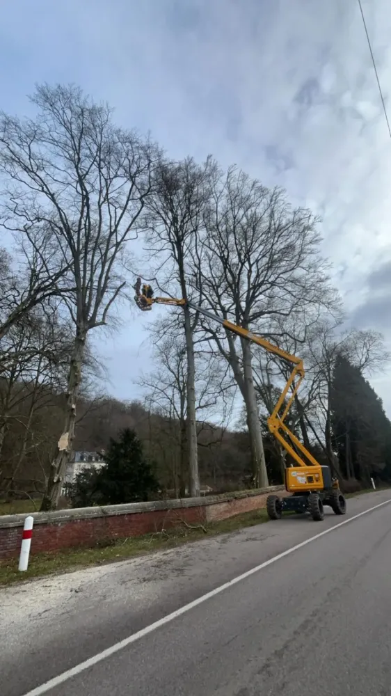 Elagage près de Le Bec Hellouin