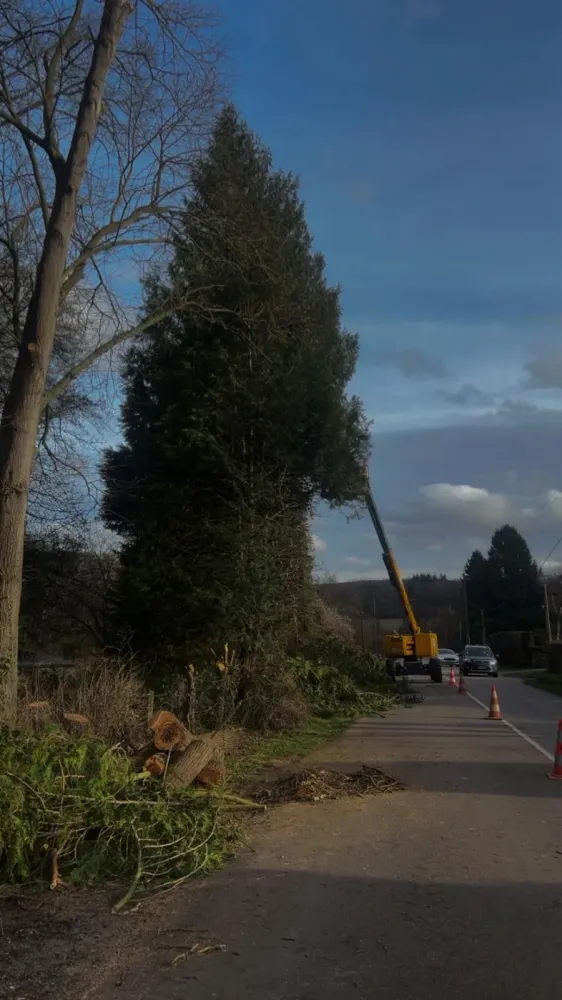 Elagage près de Morainville Jouveaux